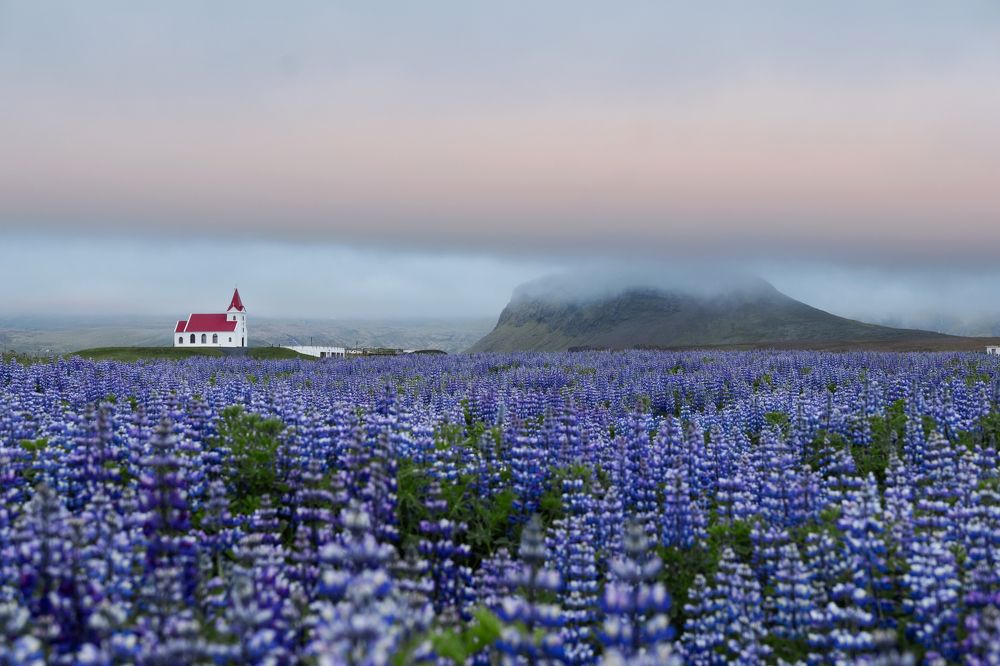 Photograph by Semeniuc Anna