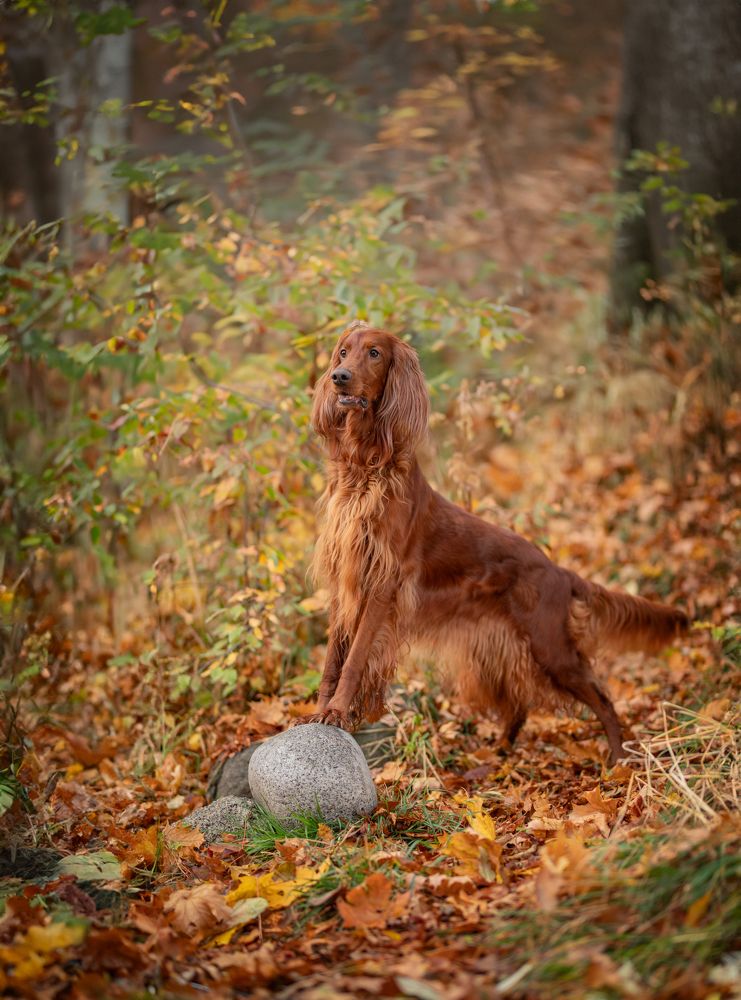 Фотография автора Карина Сагитова