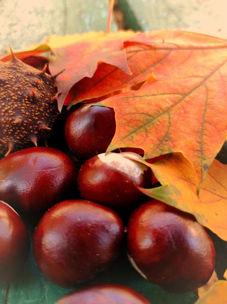 Photograph by Ольга Самылкина