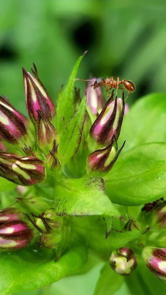 Фотография автора Ольга Быстрова