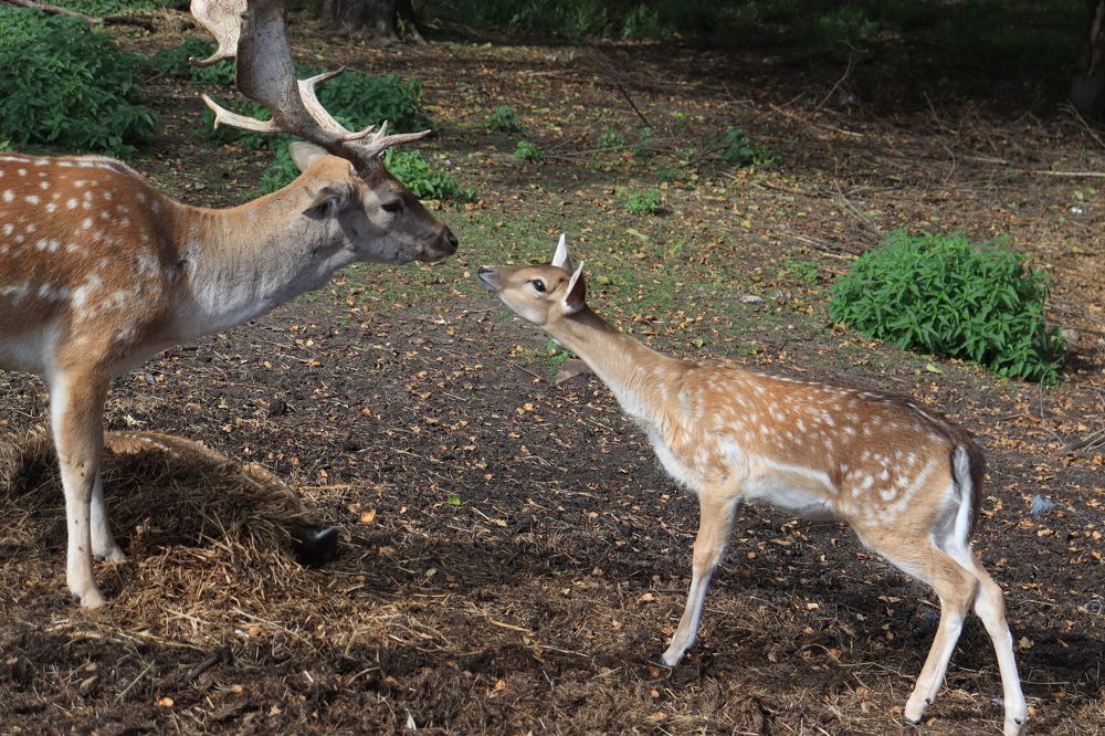 Photograph by Иван Скрипкин