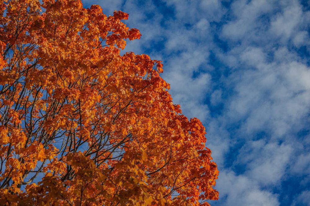 Фотография автора Таисия