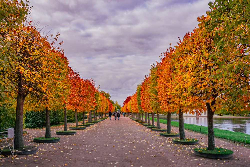 Фотография автора Таисия