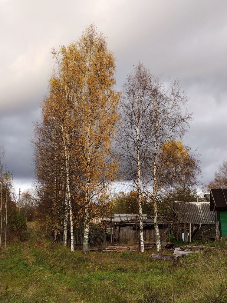 Photograph by Елена Наленч