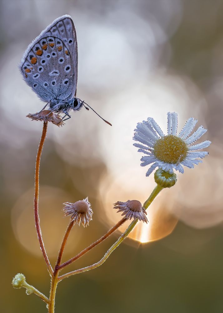Photograph by Чепленко Алексей