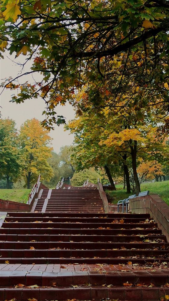 Photograph by Людмила Щуцкая