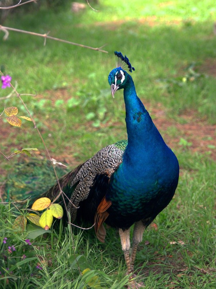 Photograph by Mikhail Levin