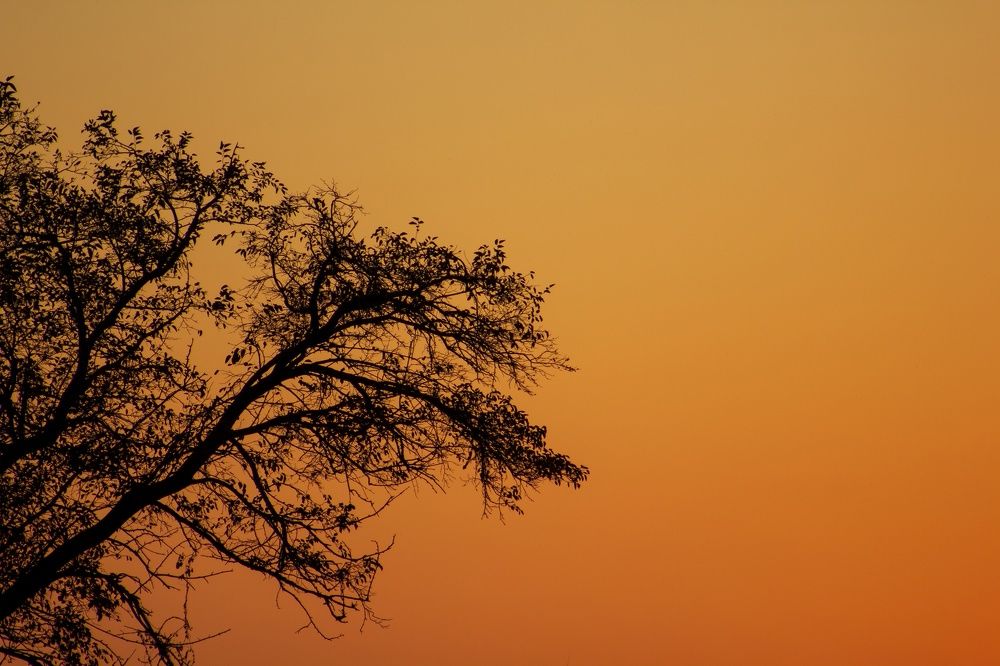 Photograph by Николай Ашмаров