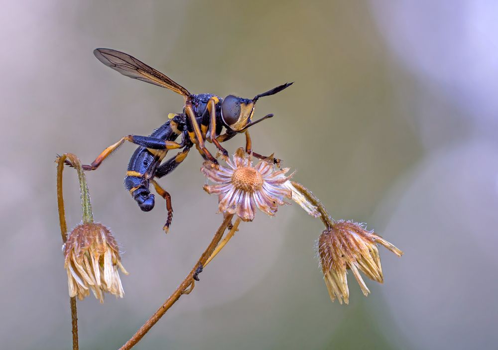 Photograph by Чепленко Алексей