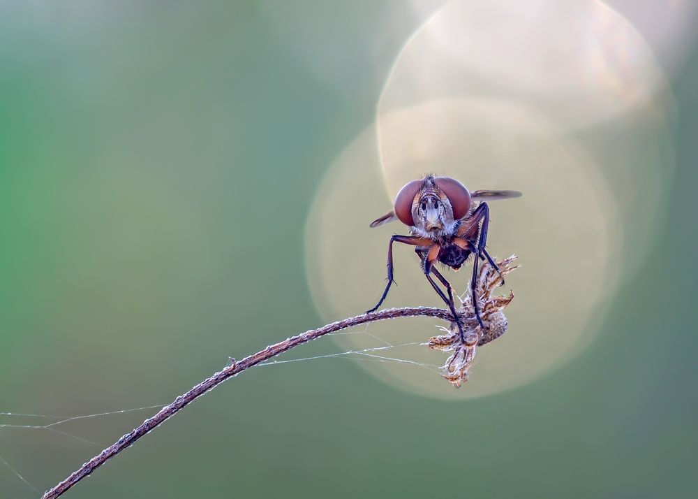 Photograph by Чепленко Алексей
