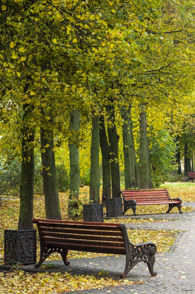 Photograph by Алексей Соймин