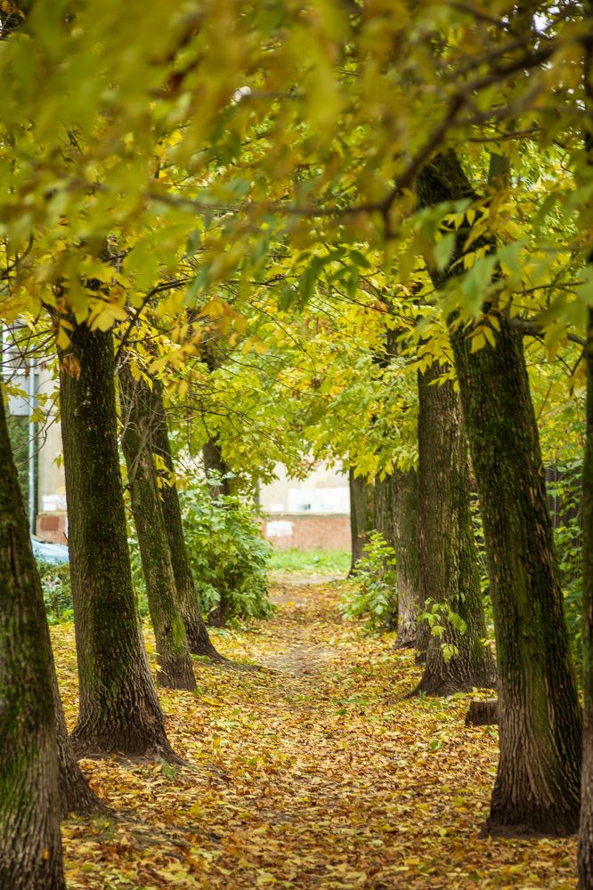 Photograph by Алексей Соймин