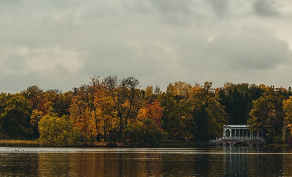 Photograph by Галчонок Ахмерова