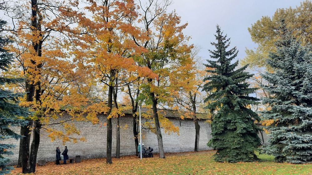 Photograph by Надежда Тузова