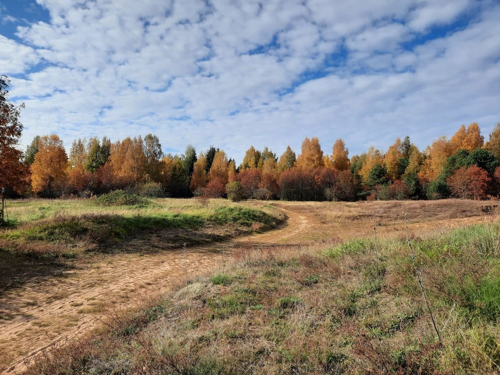 Photograph by Надежда Тузова