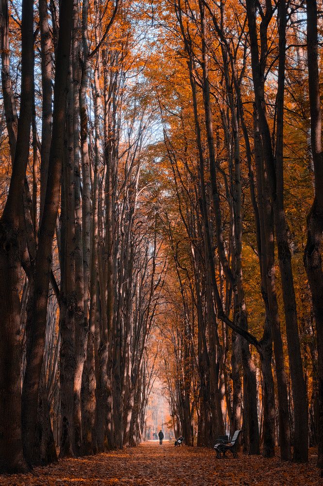 Photograph by Алексей Еремеев