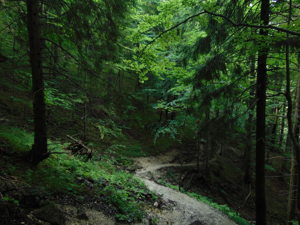 Photograph by Anna Veľasová