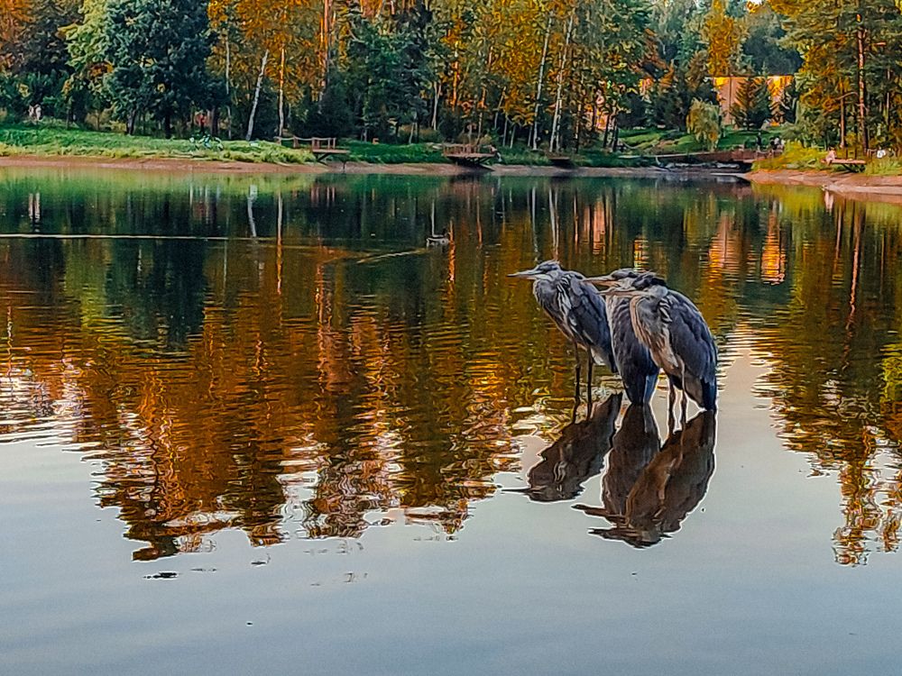 Фотография автора Нина Зинченко