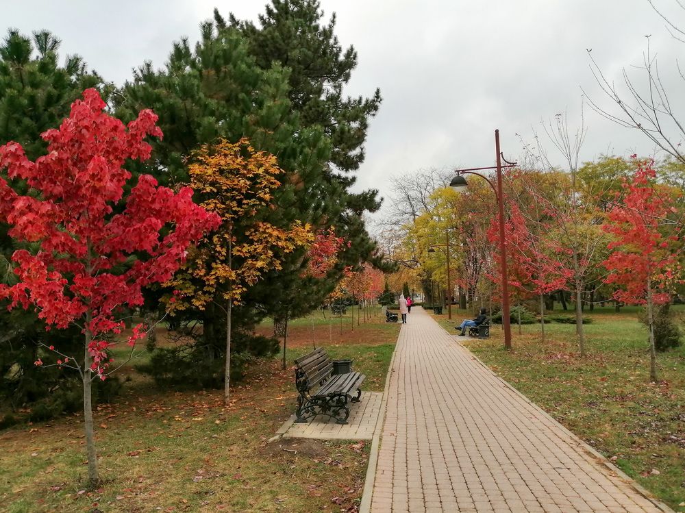 Photograph by Александра Шереметьева