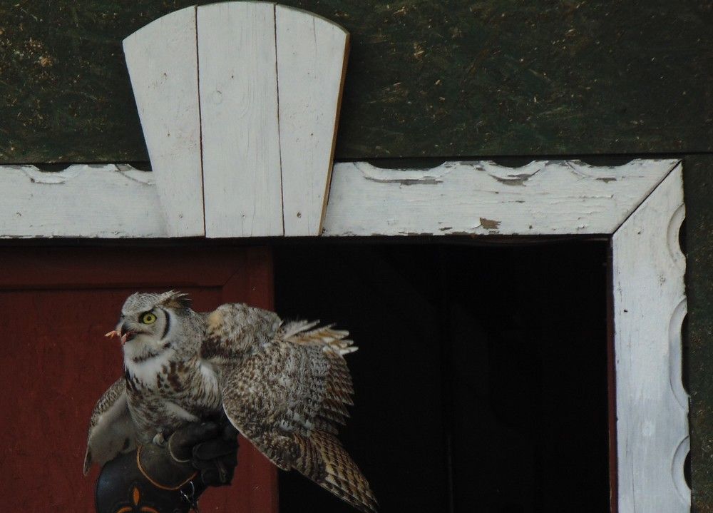 Photo #11157758