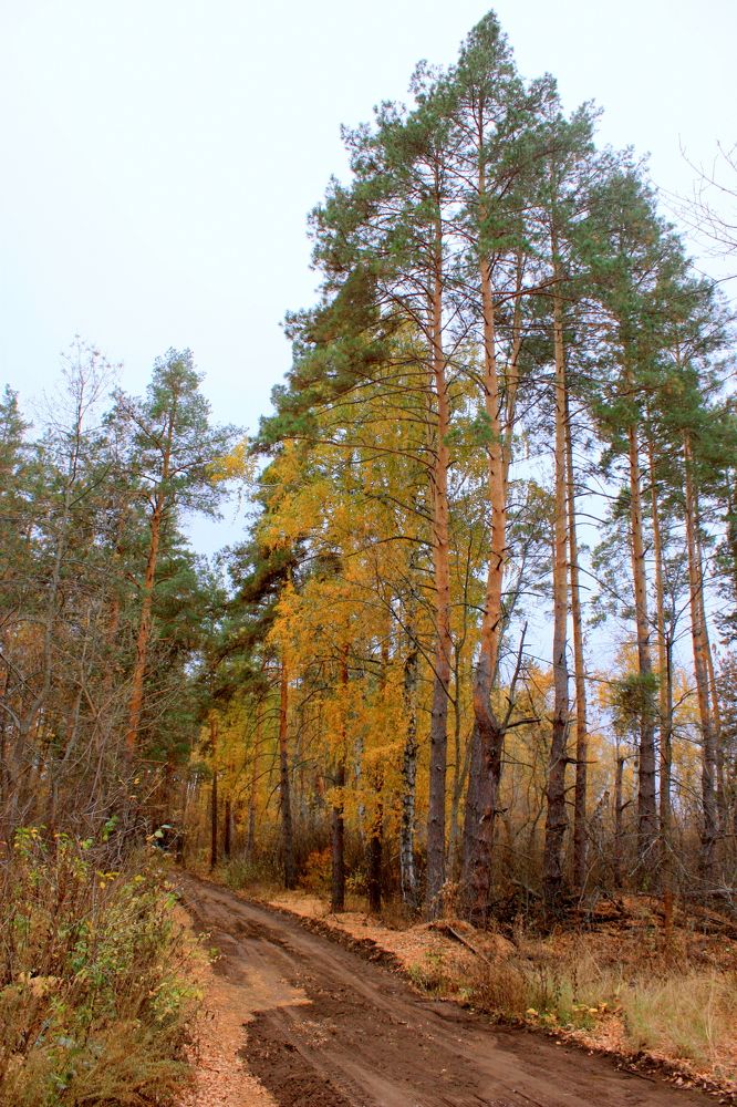 Photograph by Ольга Павлова