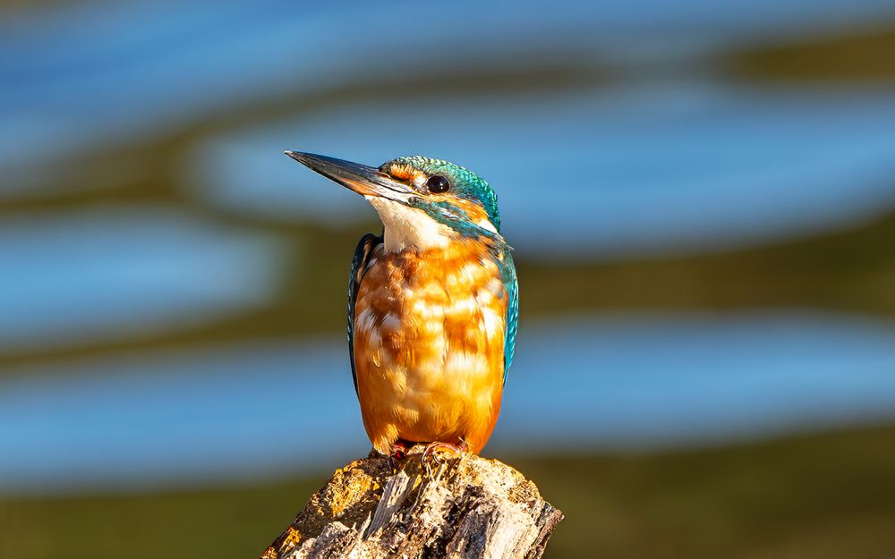 Photograph by Viktor Makarov