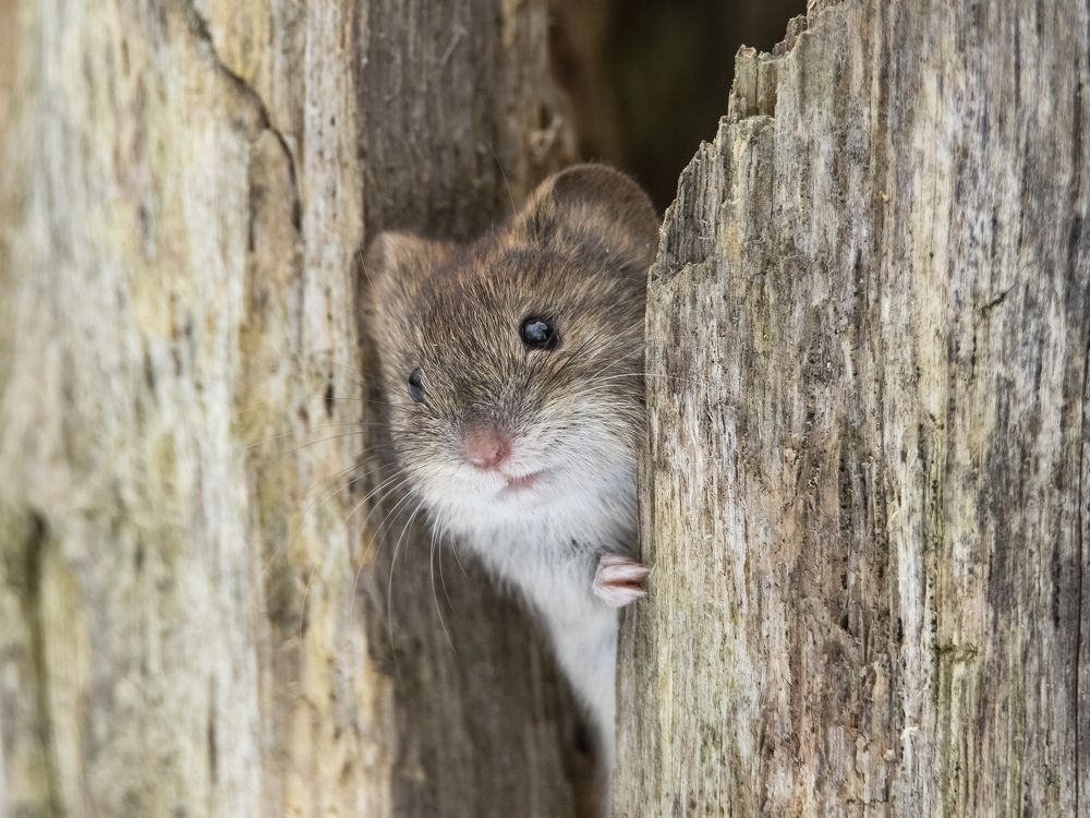 Photograph by Владимир Зайцев