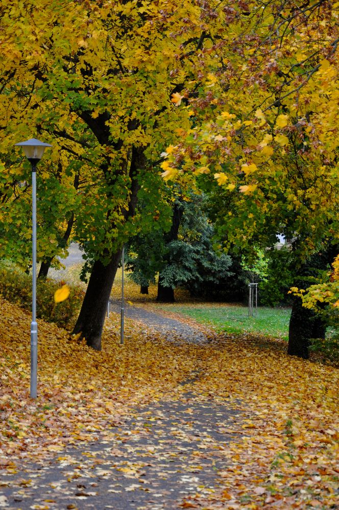 Photograph by Галина Лысых