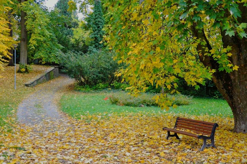 Photograph by Галина Лысых