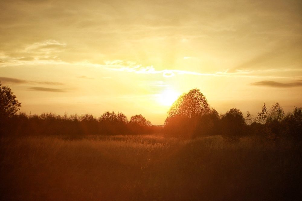 Photograph by Анастасия Павлова