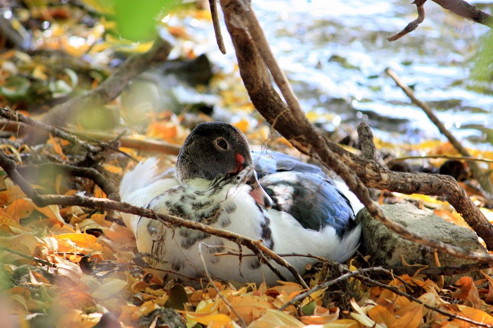 Photograph by Ольга Павлова