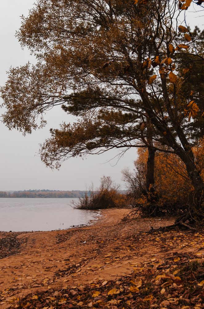 Photograph by Марина