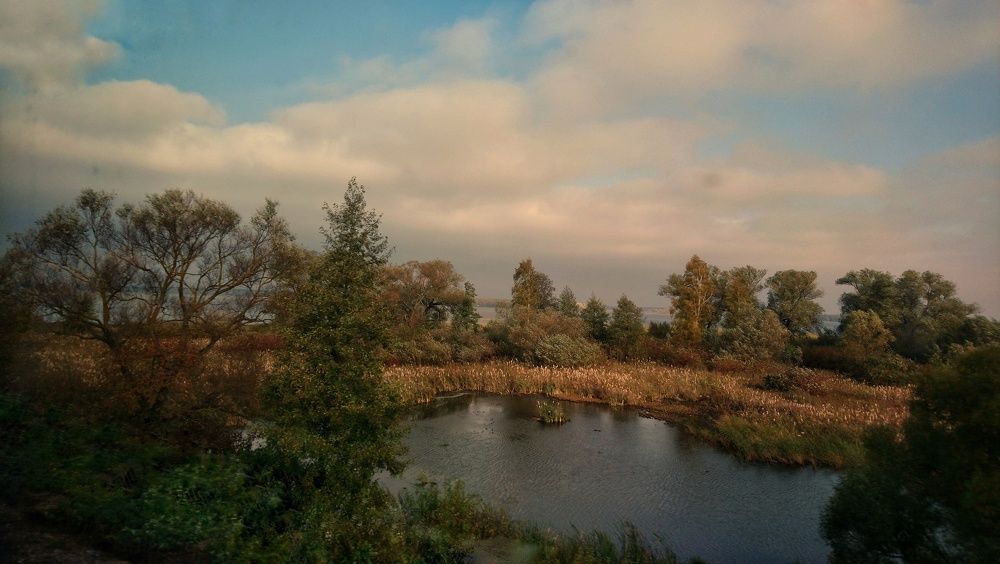 Photograph by Анастасия Павлова