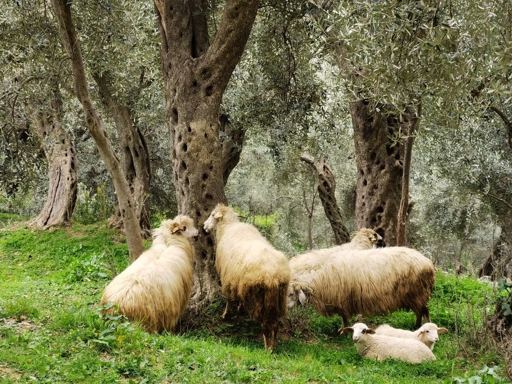 Фотография автора Вячеслав