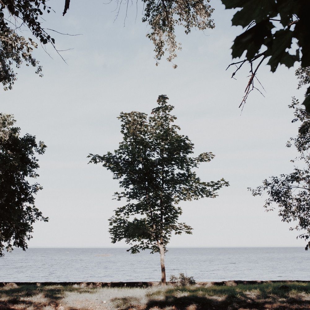 Photograph by Илья Мельников