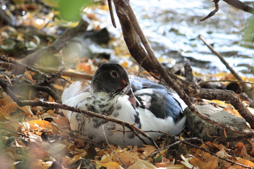 Photograph by Ольга Павлова