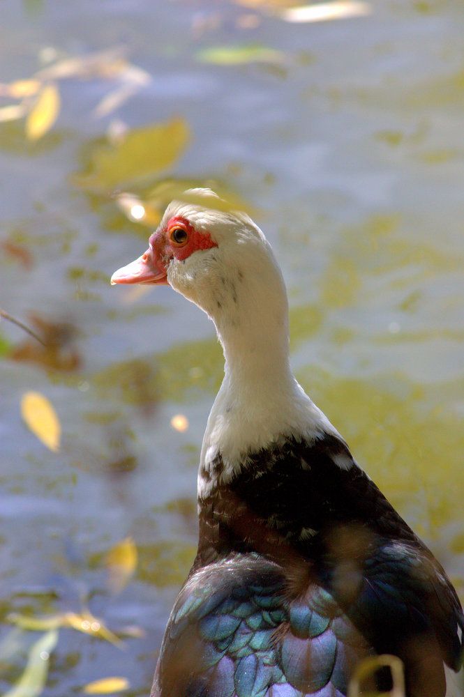 Photograph by Ольга Павлова