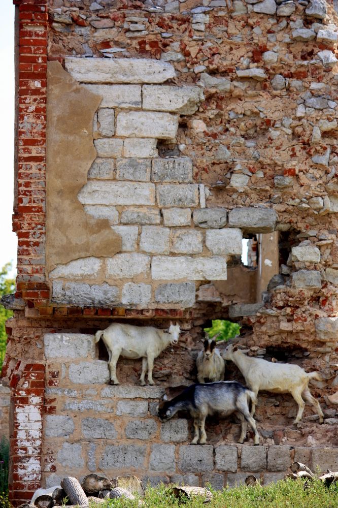 Photograph by Ольга Павлова