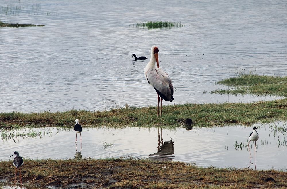 Photograph by Олег Банковский
