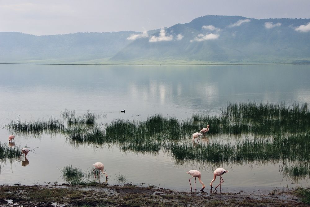 Photograph by Олег Банковский