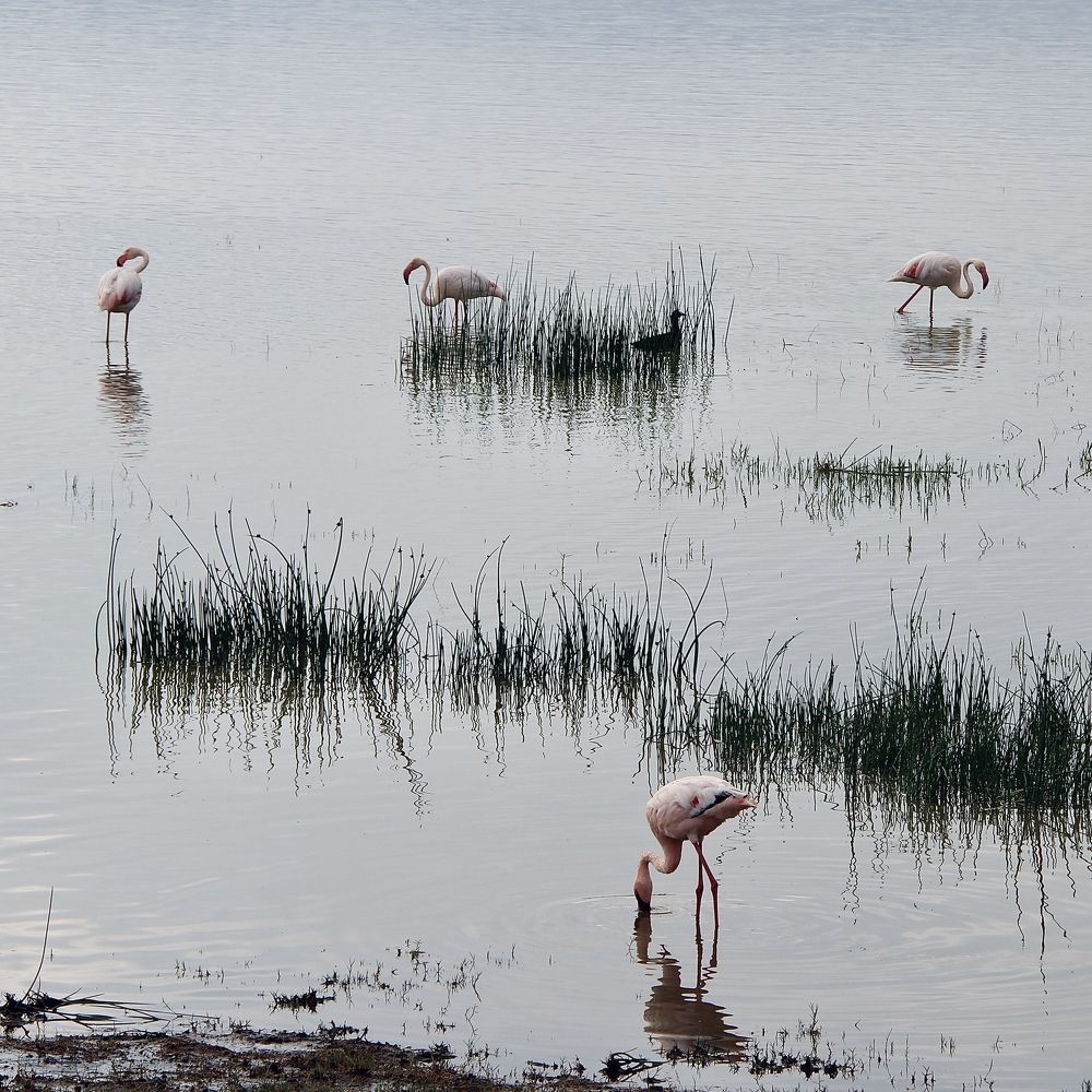 Photograph by Олег Банковский