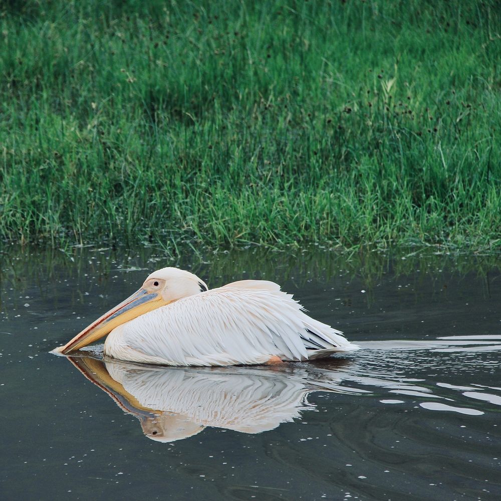 Photograph by Олег Банковский