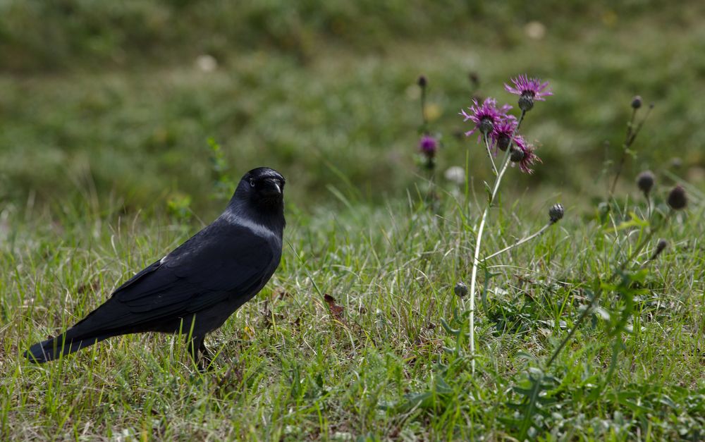 Photograph by Денис Прохоров