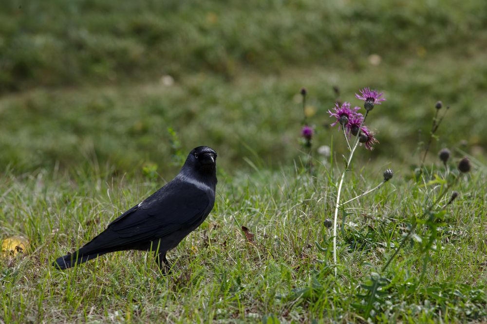 Photograph by Денис Прохоров