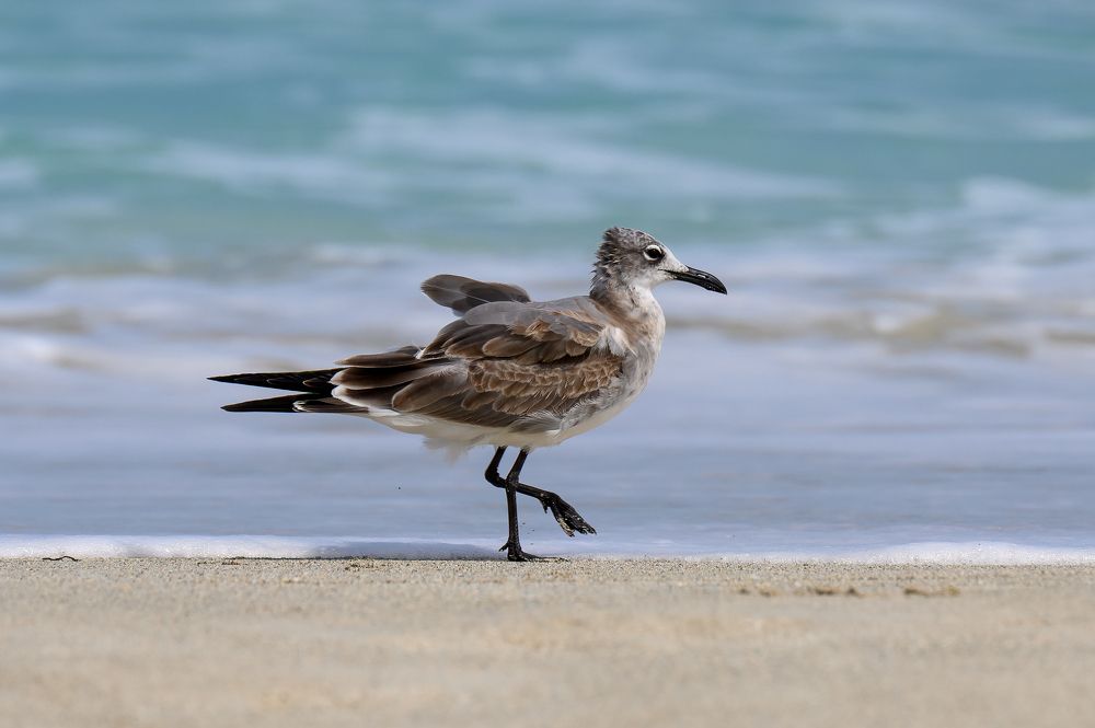 Photograph by Вячеслав Белов