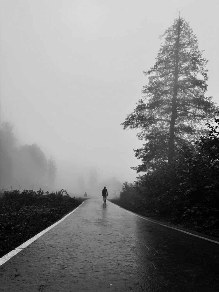 Photograph by Марина Губская