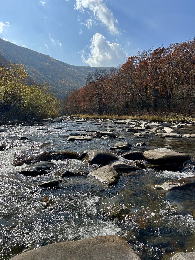 Photograph by Елена Власова