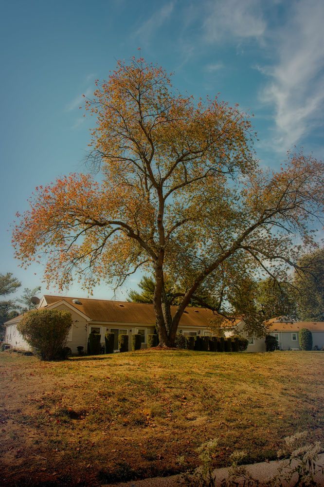 Photograph by Oleg Chemodanov