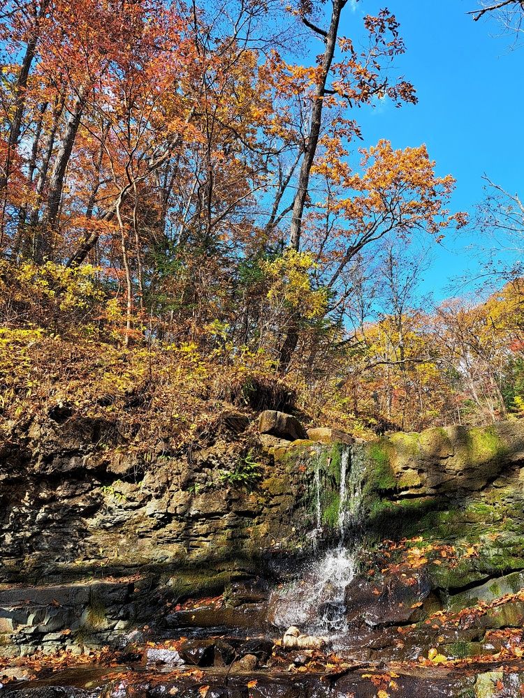 Photograph by Оксана Юдина