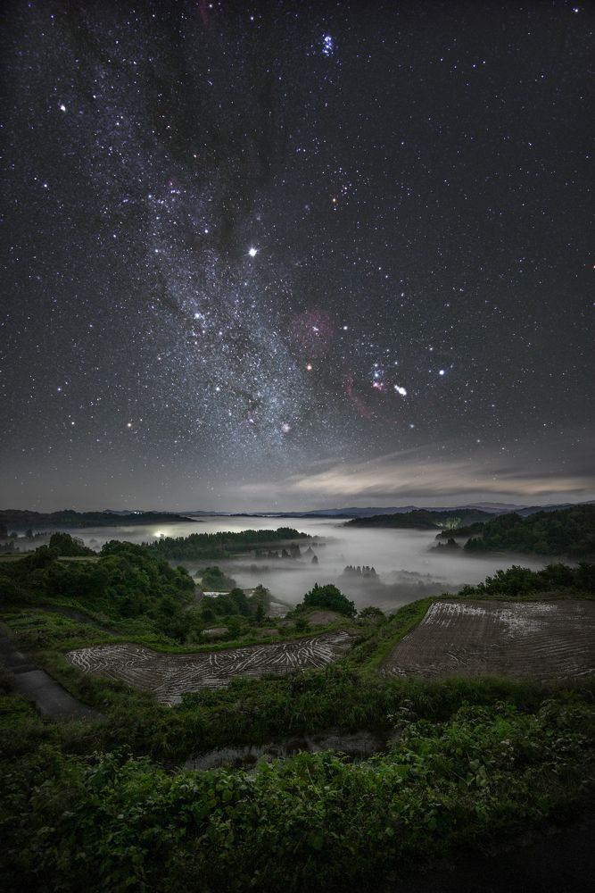 Photograph by NAGUMO SHUTO